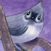 aceo-chickadee